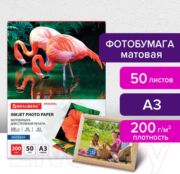 Изображение товара Фотобумага Brauberg Original А3 200 г/м2 / 363996 (50л, матовый)
