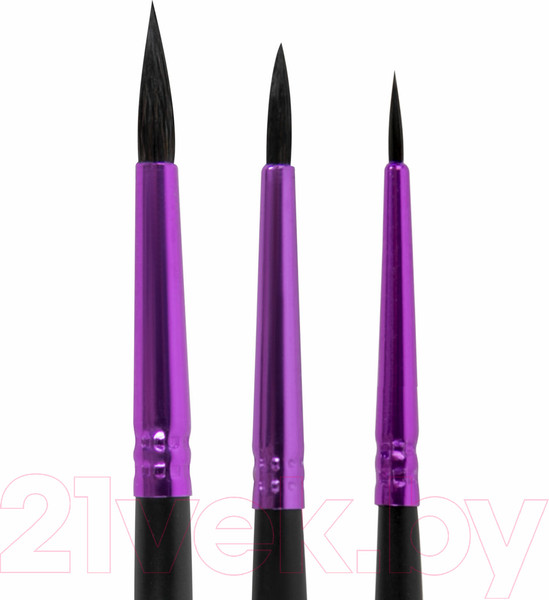 Изображение товара Набор кистей Brauberg Premium / 201020 (3шт)