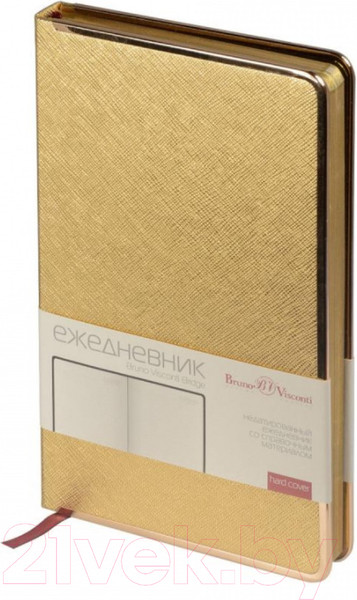 Изображение товара Ежедневник Bruno Visconti Bridge / 3-528.09 (золотистый)