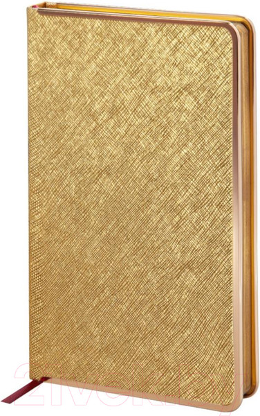 Изображение товара Ежедневник Bruno Visconti Bridge / 3-528.09 (золотистый)