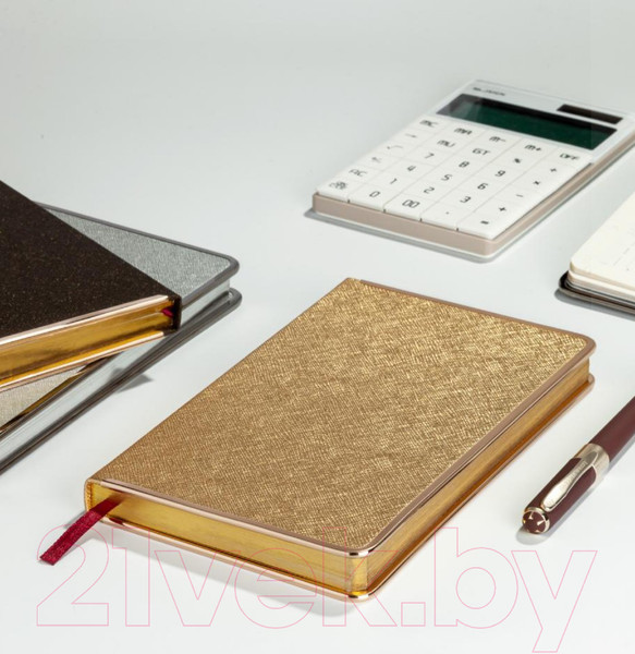 Изображение товара Ежедневник Bruno Visconti Bridge / 3-528.09 (золотистый)