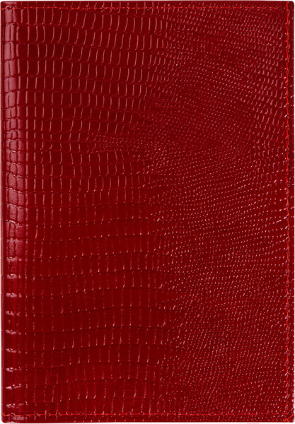 Изображение товара Обложка на паспорт Brauberg 238190 (красный)