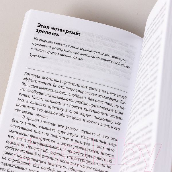 Изображение товара Книга Альпина Правила команды. Искусство думать вместе. Покет (Поташев М., Ершов П.)