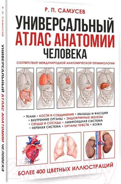 Изображение товара Книга АСТ Универсальный атлас анатомии человека (Самусев Р.)