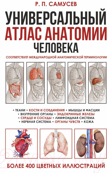 Изображение товара Книга АСТ Универсальный атлас анатомии человека (Самусев Р.)