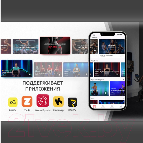 Изображение товара Велотренажер DFC Yesoul Smart M1 (черный)