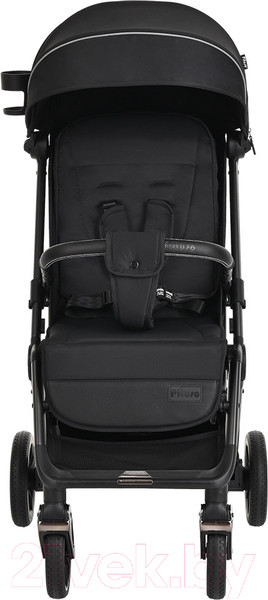 Изображение товара Детская прогулочная коляска Pituso Wicki / ABF2022 (черный)