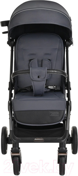 Изображение товара Детская прогулочная коляска Pituso Wicki / ABF2022 (графитовый)