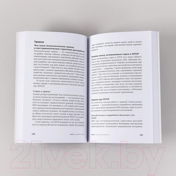 Изображение товара Книга Альпина Смерть в большом городе. Почему мы так боимся умереть (Фоер Е., Рамзаева М.)