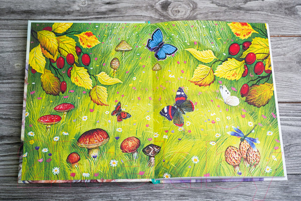 Изображение товара Книга АСТ Беспризорная кошка (Житков Б.С.)