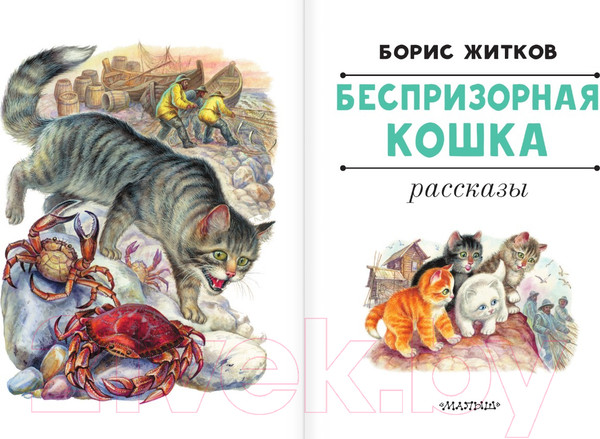 Изображение товара Книга АСТ Беспризорная кошка (Житков Б.С.)