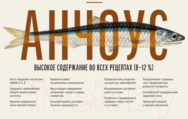 Изображение товара Сухой корм для кошек Деревенские лакомства Холистик Премьер Говядина для стерилизованных (10кг)