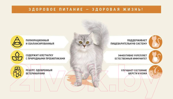 Изображение товара Сухой корм для кошек Деревенские лакомства Холистик Премьер Индейка (10кг)