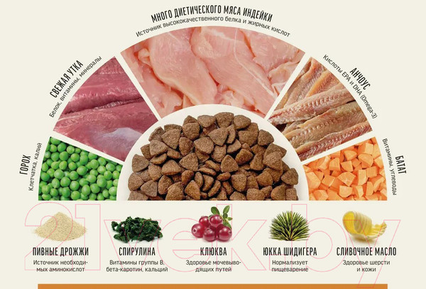 Изображение товара Сухой корм для кошек Деревенские лакомства Холистик Премьер Индейка (10кг)