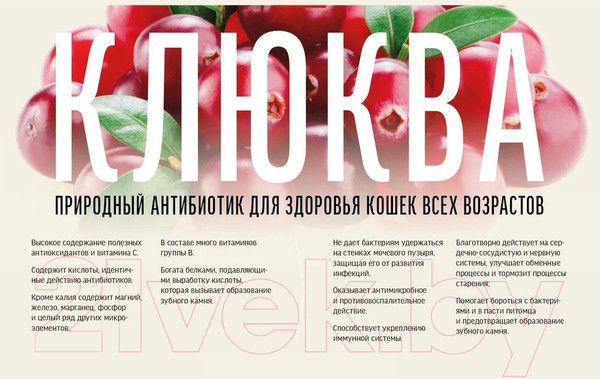 Изображение товара Сухой корм для кошек Деревенские лакомства Холистик Премьер Индейка (10кг)