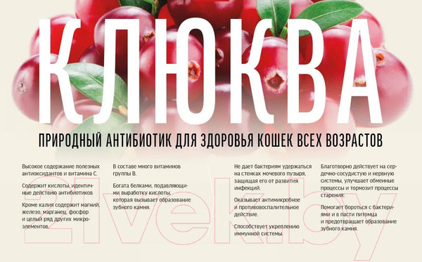 Изображение товара Сухой корм для кошек Деревенские лакомства Для кастрированных и стерилизованных с лососем (0.4кг)