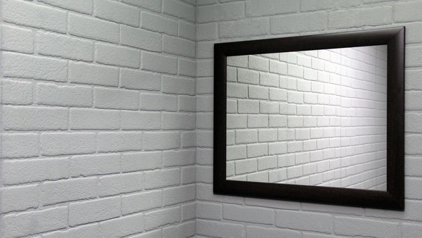 Изображение товара Зеркало Sansa 740x600 (венге)