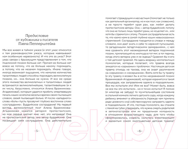 Изображение товара Книга Бомбора Странные, страшные, плохие, хорошие. Стихи (Бражникова-Агаджикова А.)