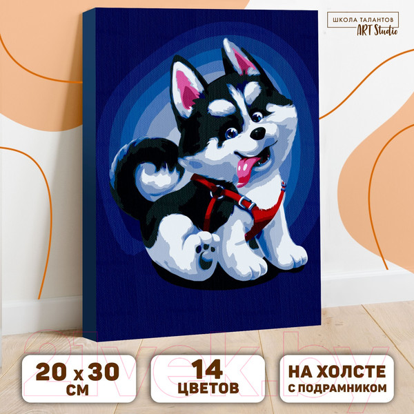 Изображение товара Картина по номерам Школа талантов Щенок хаски / 5177163