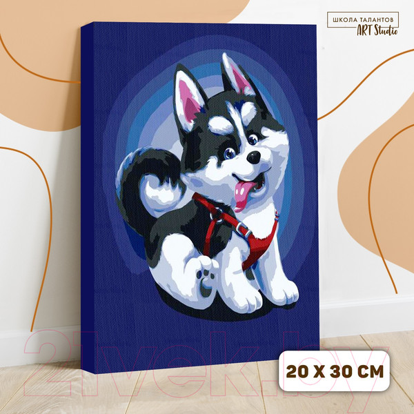 Изображение товара Картина по номерам Школа талантов Щенок хаски / 5177163