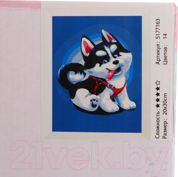 Изображение товара Картина по номерам Школа талантов Щенок хаски / 5177163