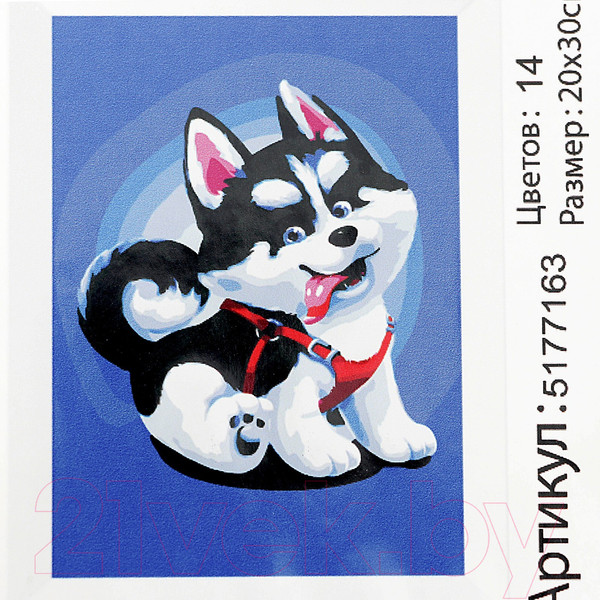 Изображение товара Картина по номерам Школа талантов Щенок хаски / 5177163