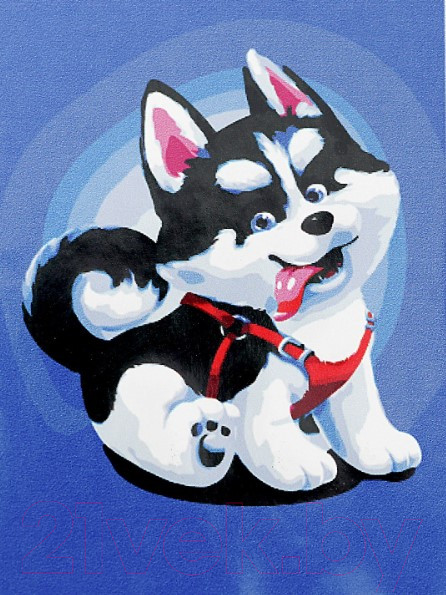 Изображение товара Картина по номерам Школа талантов Щенок хаски / 5177163