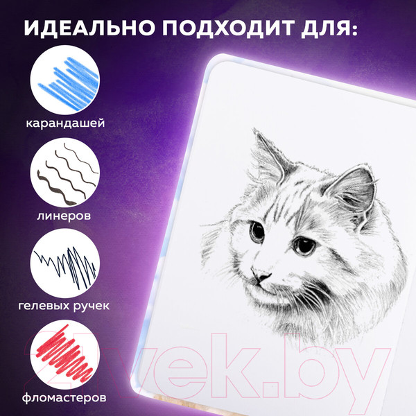 Изображение товара Скетчбук Brauberg Art Debut. Львенок / 114585 (80л)