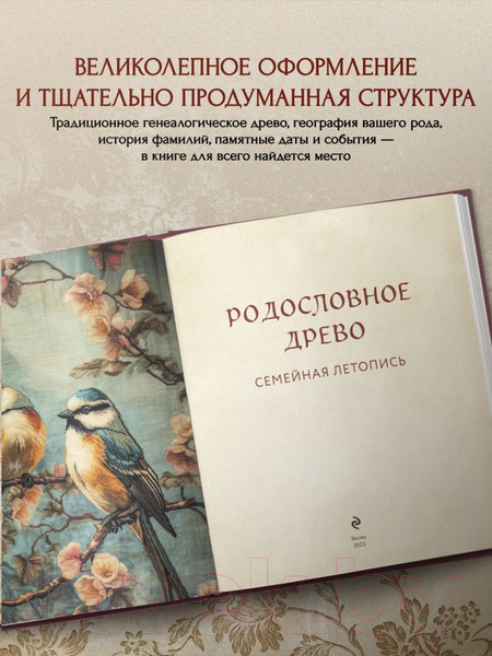 Изображение товара Родословная книга Эксмо Родословное древо. Семейная летопись / 9785041847753 (Артемьева А.)