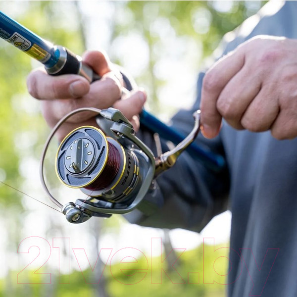 Изображение товара Удилище Ryobi Araiwa Surf 25 / 2705