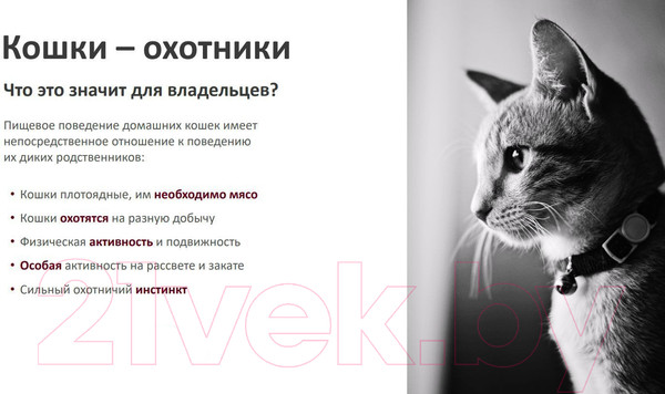 Изображение товара Сухой корм для кошек Landor Полнорацион. для стерилизованных с индейкой и уткой / L1015 (2кг)