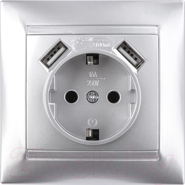 Изображение товара Розетка TDM Лама / SQ1815-0242 (металлик)