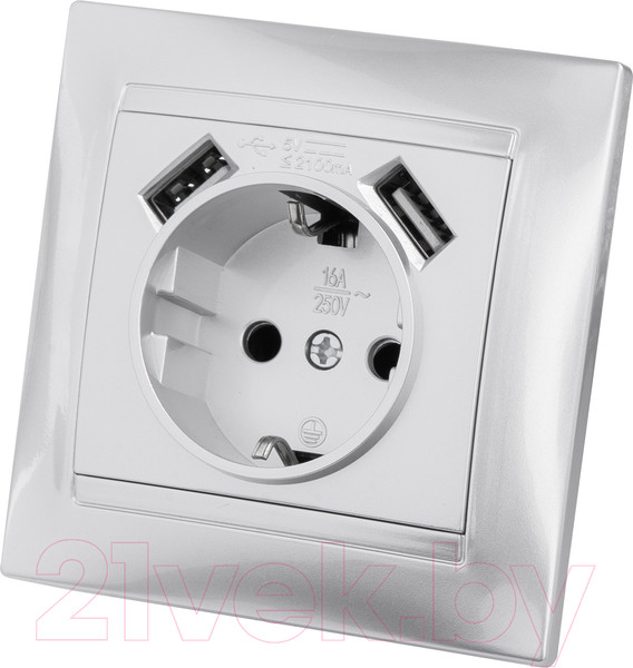 Изображение товара Розетка TDM Лама / SQ1815-0242 (металлик)