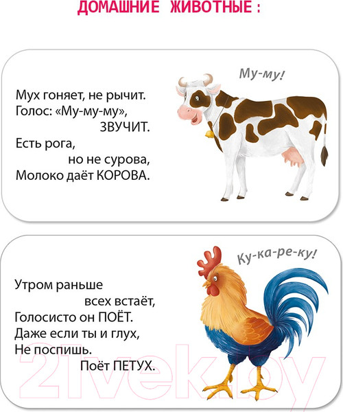 Изображение товара Набор развивающих книг Робинс Мимикнижки. Загадки-рифмы