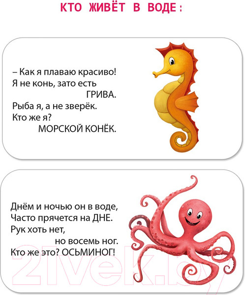 Изображение товара Набор развивающих книг Робинс Мимикнижки. Загадки-рифмы