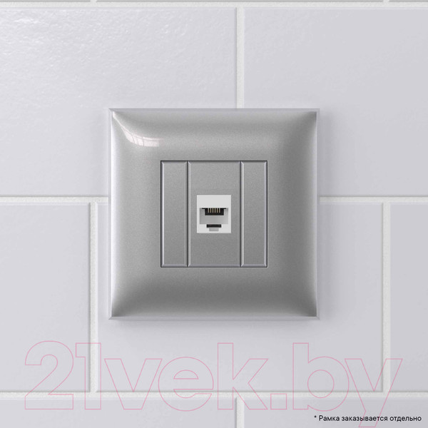 Изображение товара Розетка DKC Avanti / 4404613 (закаленная сталь)