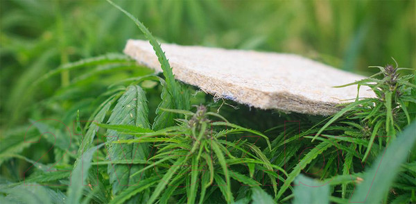 Изображение товара Матрас Mr. Mattress Sativa L 160x200