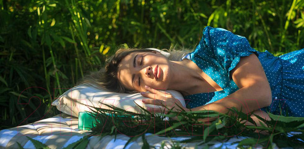 Изображение товара Матрас Mr. Mattress Sativa L 160x200