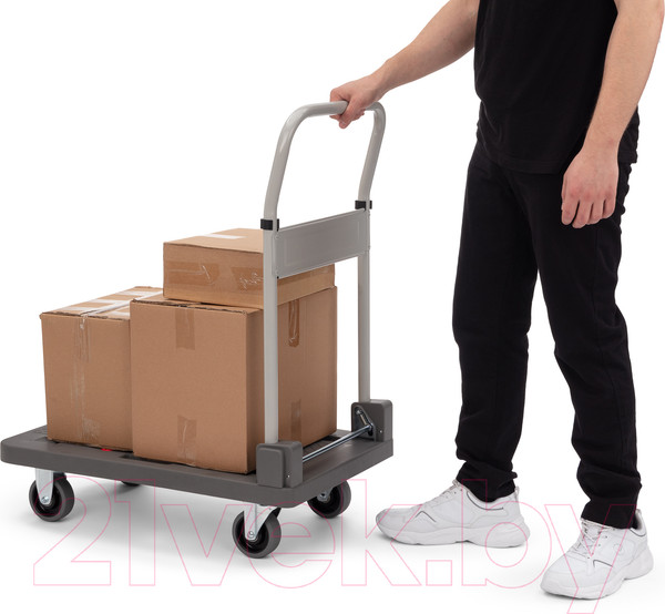 Изображение товара Тележка платформенная Стелла-техник FW-150П