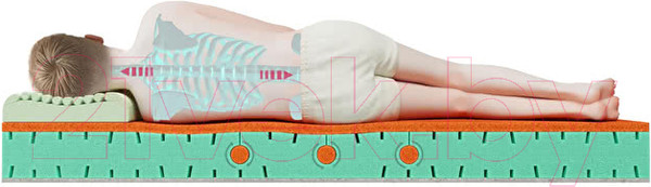 Изображение товара Матрас в кроватку Mr. Mattress Funny XL 70x140