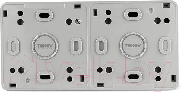 Изображение товара Блок выключатель+розетка Tokov Electric ОП Nix / TKE-NX-V1RZ-C06T-IP54
