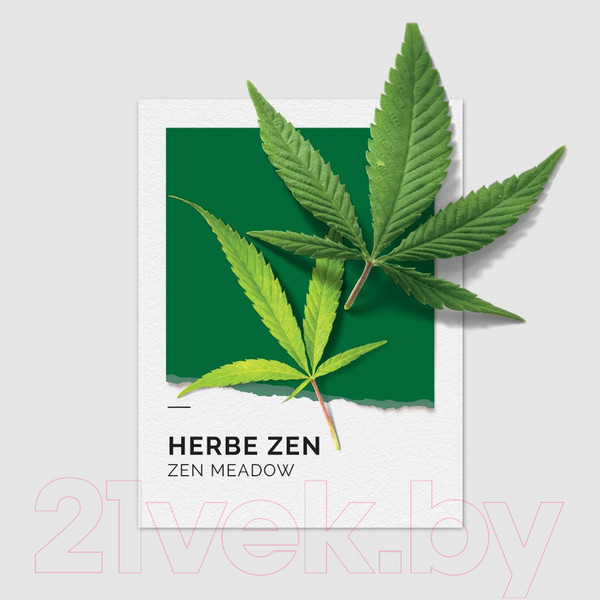 Изображение товара Парфюмерная вода Solinotes Herbe Zen (50мл)