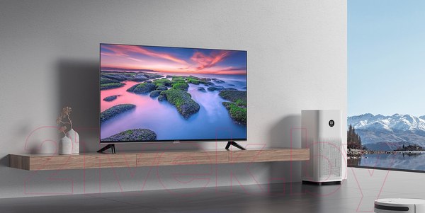 Изображение товара Телевизор Xiaomi TV A2 FHD 43 L43M8-AFRU / ELA5139GL