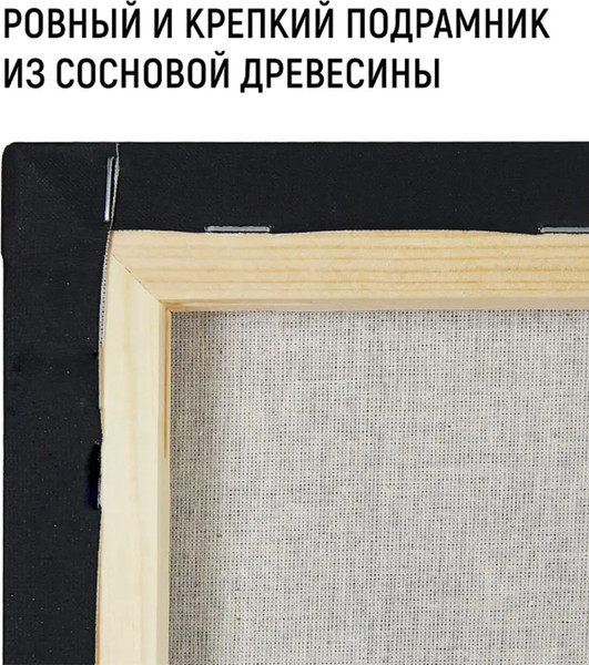 Изображение товара Холст для рисования Azart 10x10 / AZ221010 (хлопок)