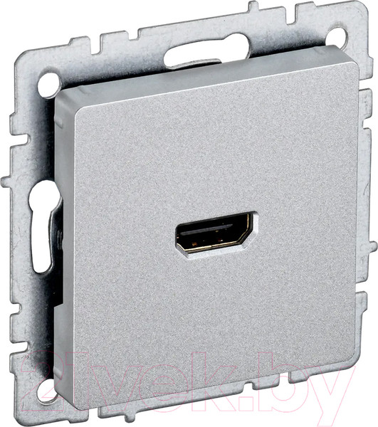 Изображение товара Розетка IEK Brite BR-H10-K47 (алюминий)