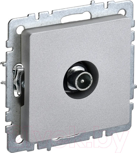 Изображение товара Розетка IEK Brite BR-A10-P-K47 (алюминий)