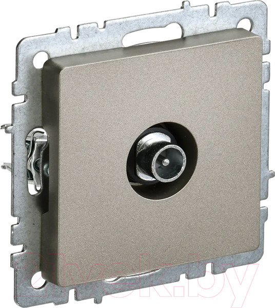 Изображение товара Розетка IEK Brite BR-A10-P-K37 (шампань)