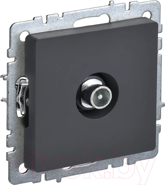 Изображение товара Розетка IEK Brite BR-A10-P-K53 (графит)