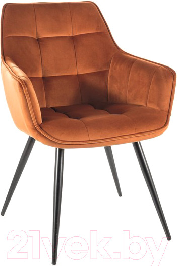 Изображение товара Стул Signal Lilia Velvet (Bluvel 4215 корица/черный)