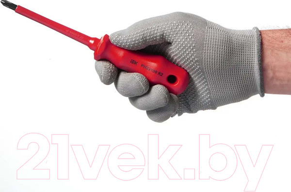 Изображение товара Отвертка IEK A2L3-SC30-K2-PH-20-100